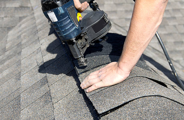 Best Roof Moss and Algae Removal  in Cuthbert, GA